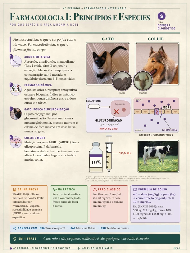 Página real do Atlas do Veterinário: Farmacologia e espécies
