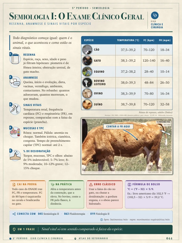 Página real do Atlas do Veterinário: Exame clínico geral