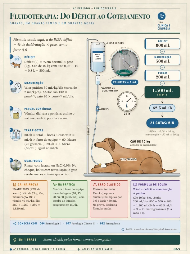 Página real do Atlas do Veterinário: Fluidoterapia